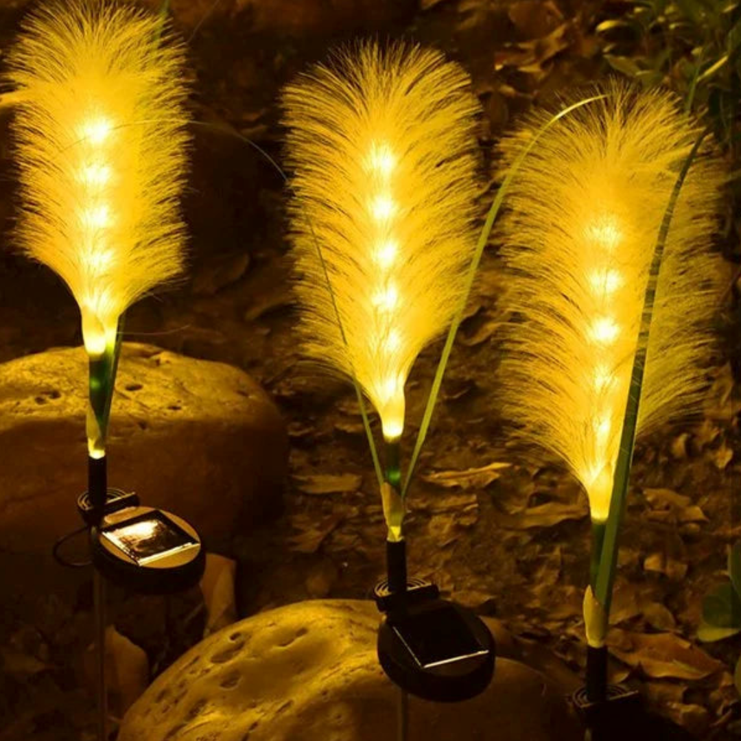 Zonne-energie Tuinverlichting Glasvezel Buitenverlichting