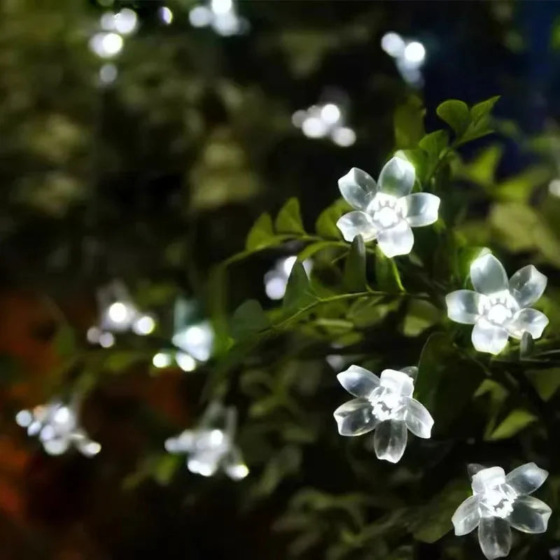 Zonne-energie Tuinverlichting Bloemvormig Buitendecoratie