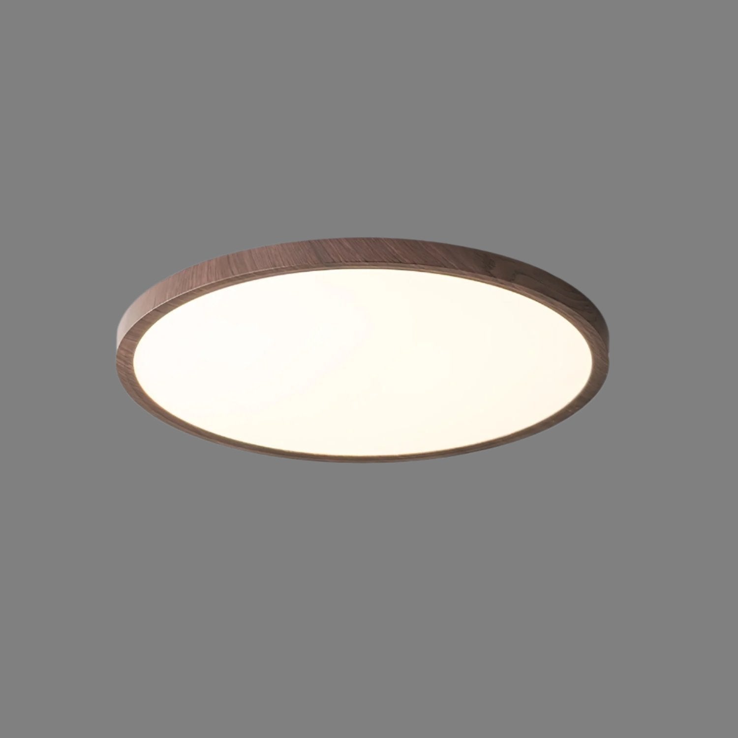 Ronde Plafondlamp LED Flush Mount
