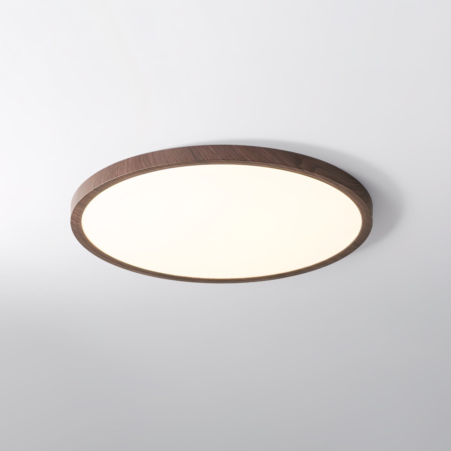 Ronde Plafondlamp LED Flush Mount