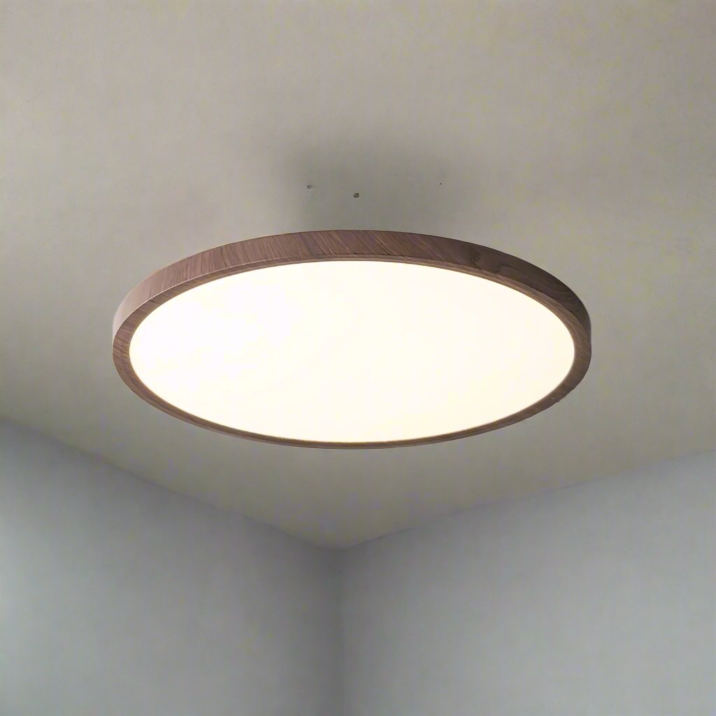 Ronde Plafondlamp LED Flush Mount