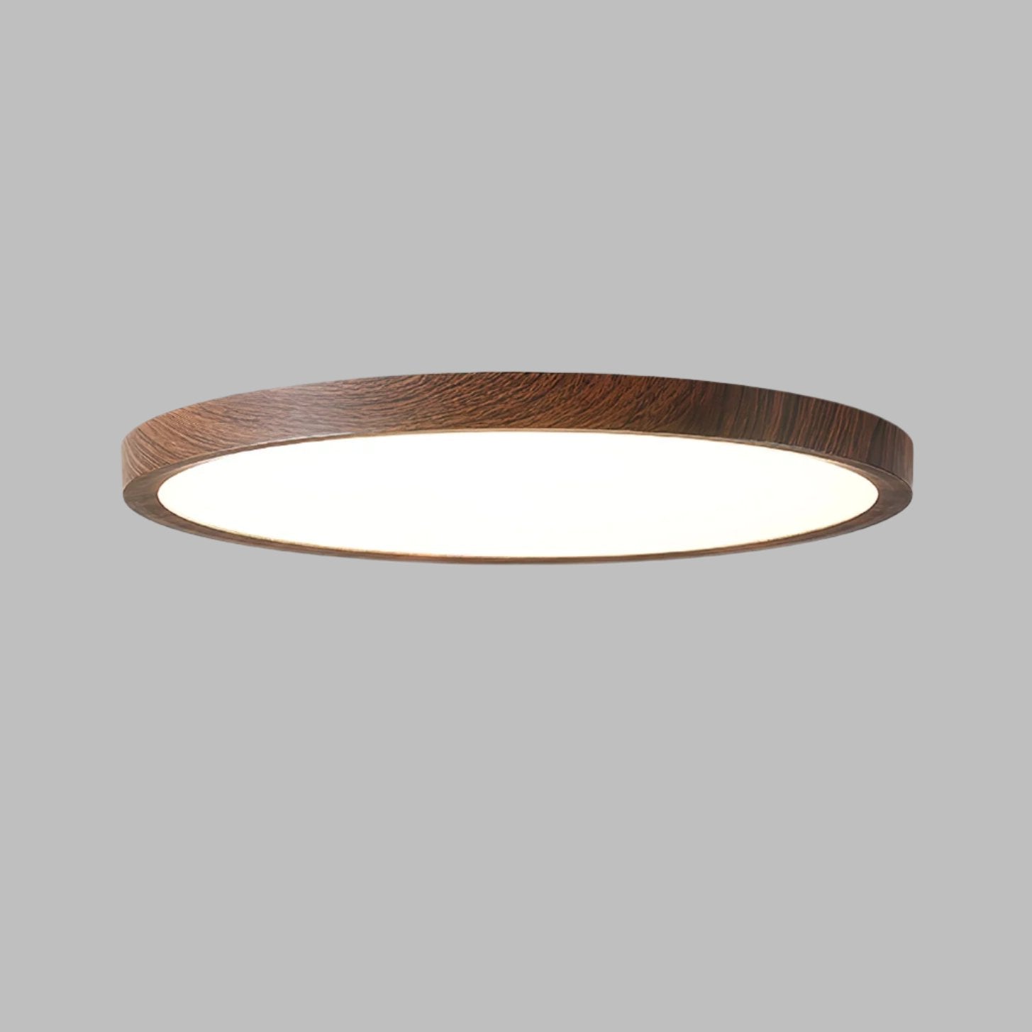 Ronde Plafondlamp LED Flush Mount