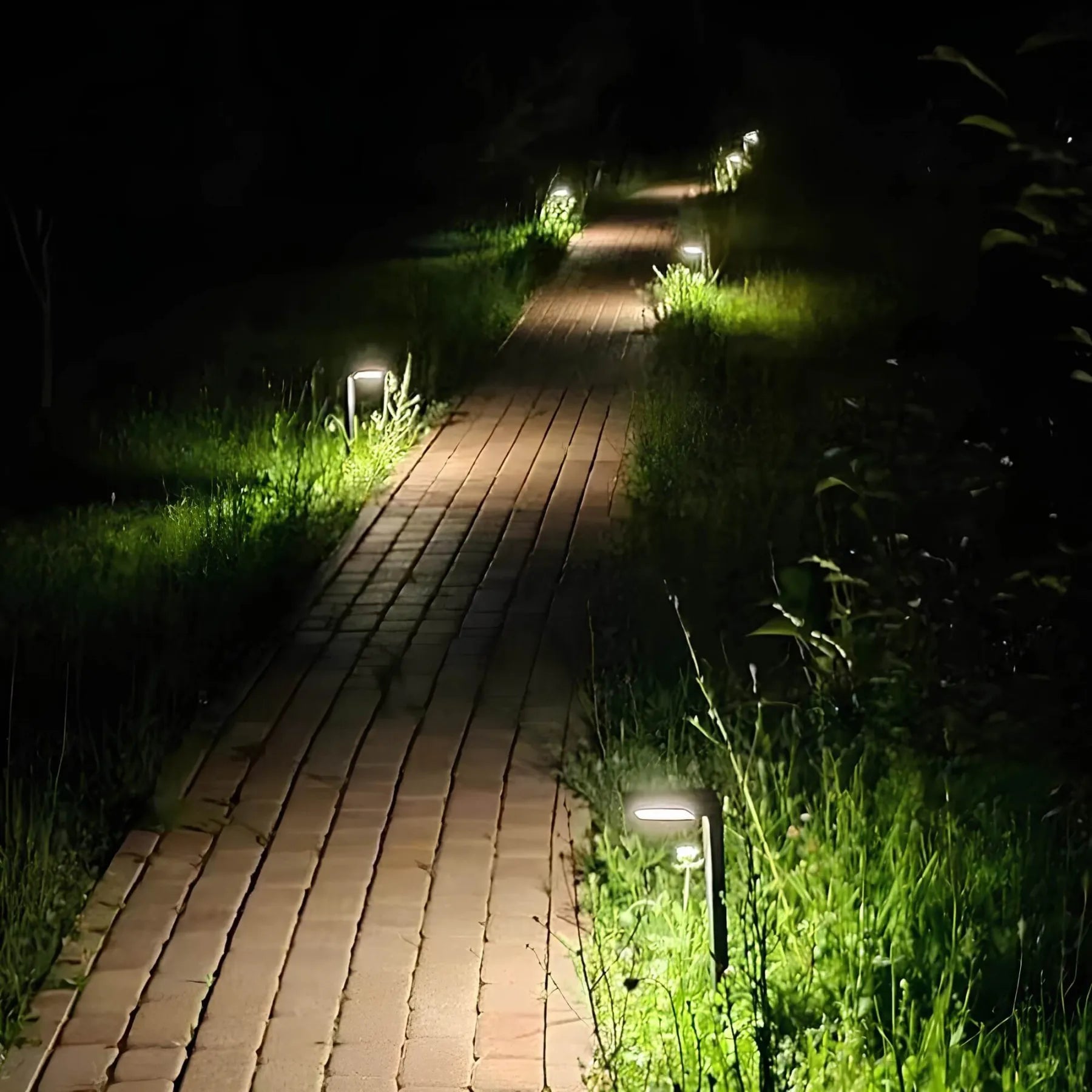 Zonnepadverlichting LED Buiten Waterdicht Tuinverlichting