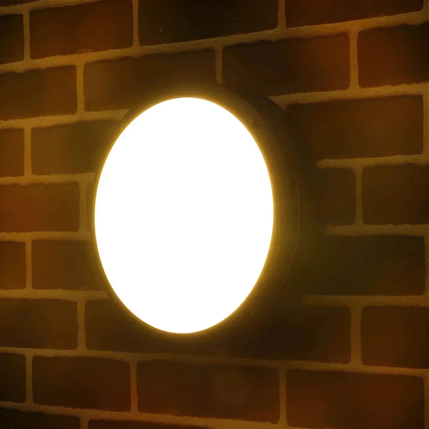 Buitenwandlamp Tuin Terras Weerbestendig LED