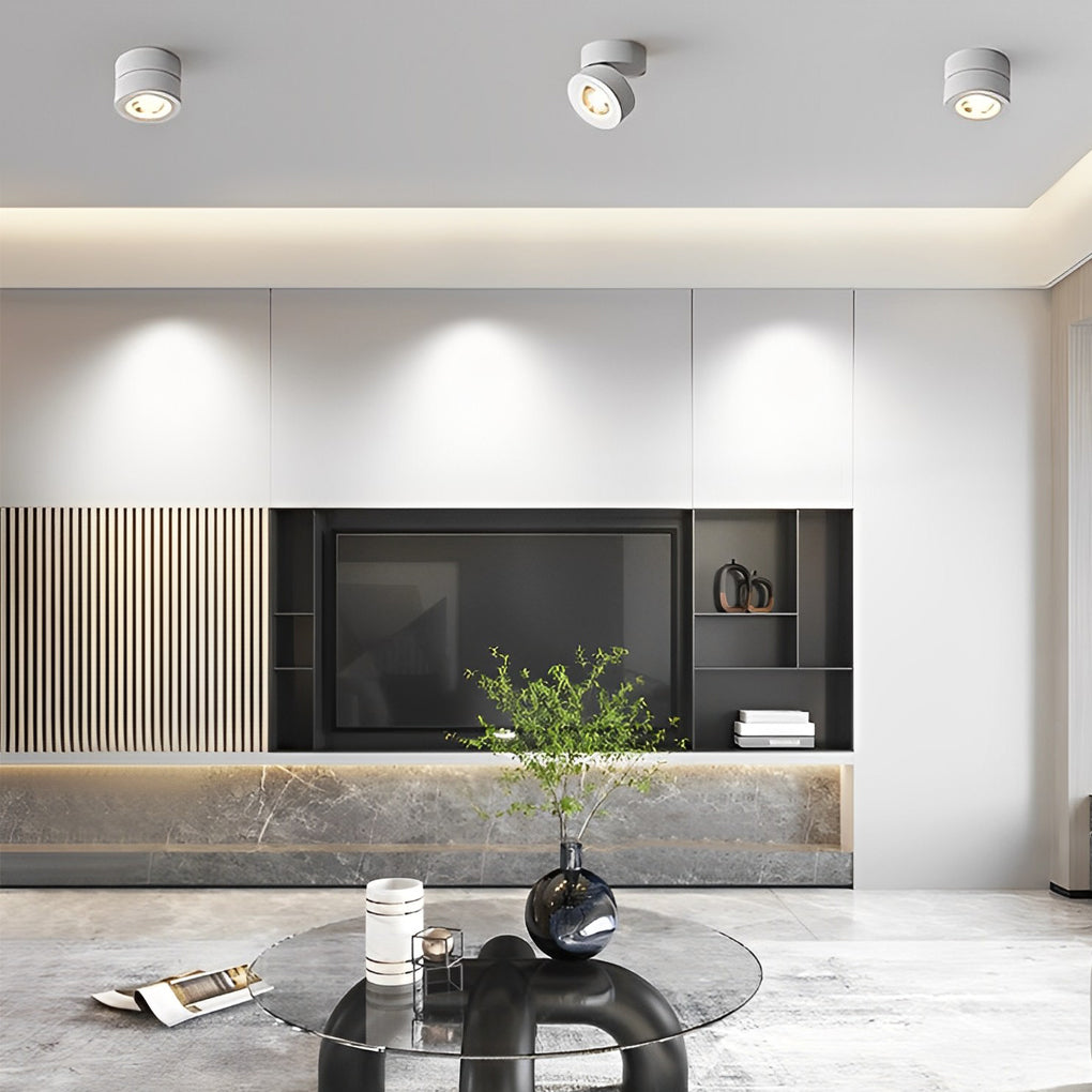 Verstelbare LED Downlight Flush Mount Plafondverlichting