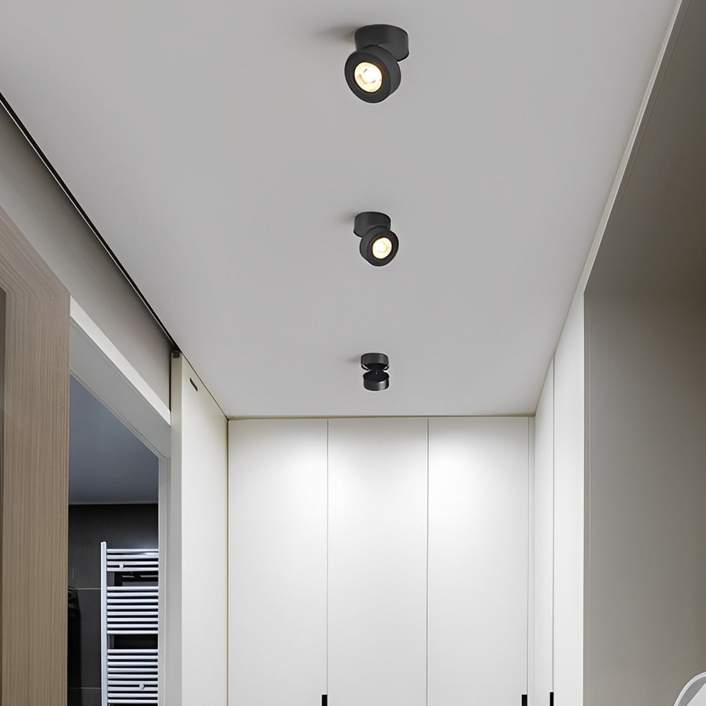 Verstelbare LED Downlight Flush Mount Plafondverlichting