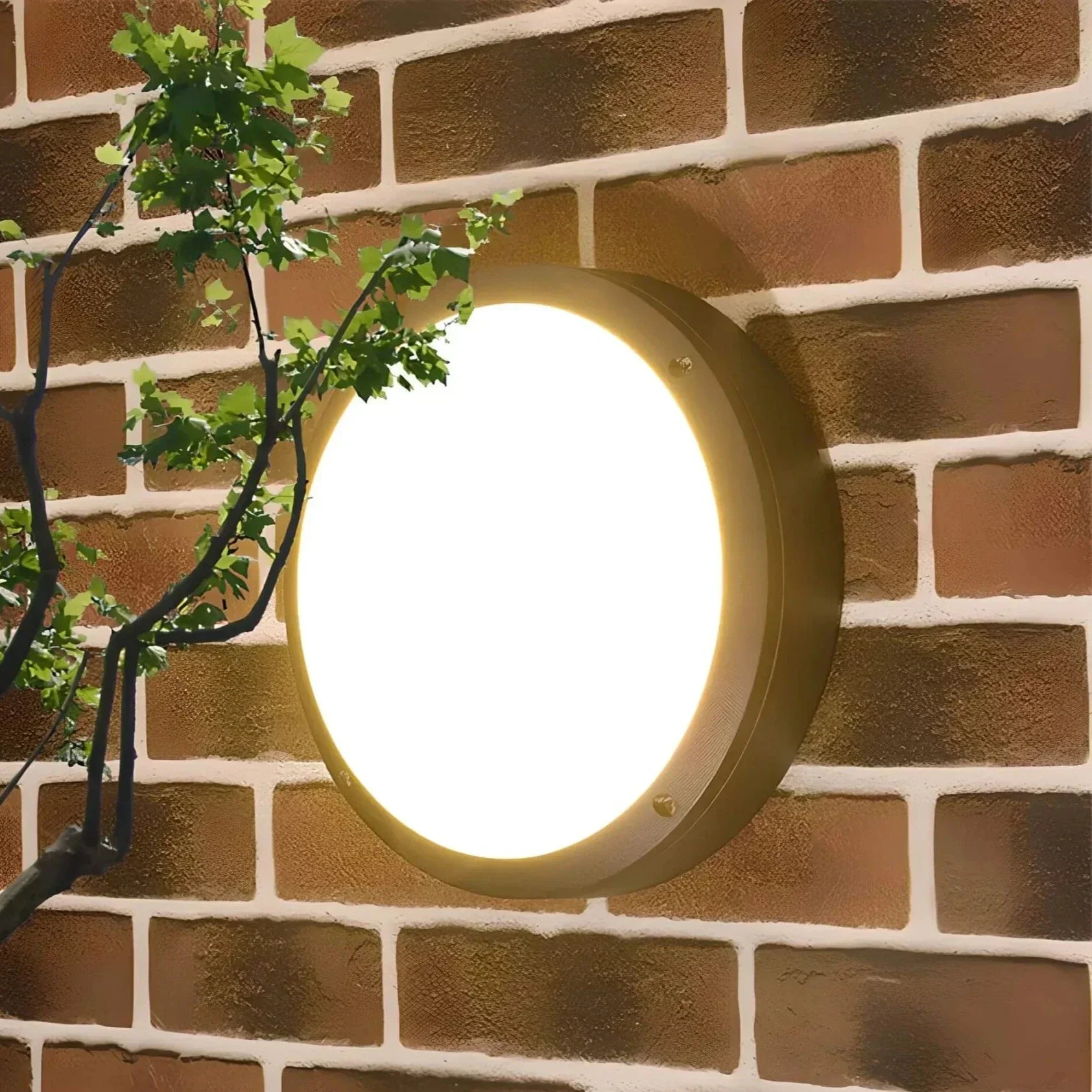 Buitenwandlamp Tuin Terras Weerbestendig LED